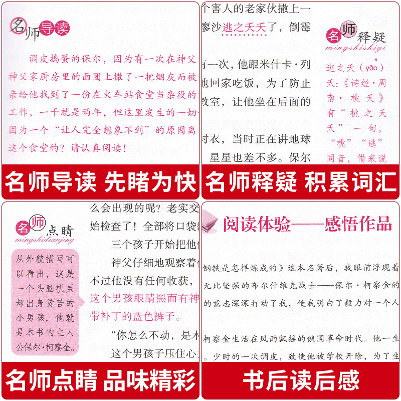钢铁是怎样炼成的书正版中小学生七八九年级阅读书目新课本四五六年级课外书推荐书籍世界经典名著儿童文学dy