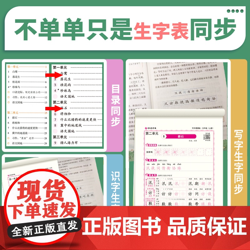 司马彦字帖五年级上册语文同步练字帖小学生写字课课练2023秋5年级人教版硬笔书法楷书练字本笔画笔顺每日一练儿童生字钢笔写高清大图