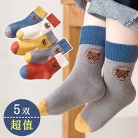 儿童袜子女孩女童袜子春夏款棉袜大童可爱公主花边袜 【3-5岁】推荐尺码19-25码 卡迪熊【5双】