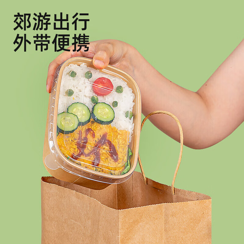 特美居 一次性可降解纸质长方750型带盖打包盒100套装牛皮色TMJ-1999 BDZSSC高清大图