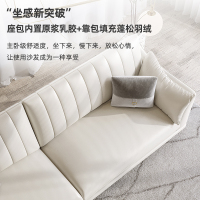 冬熊侘寂风北欧轻奢科技布皮沙发客厅小户型现代简约白色布艺沙发