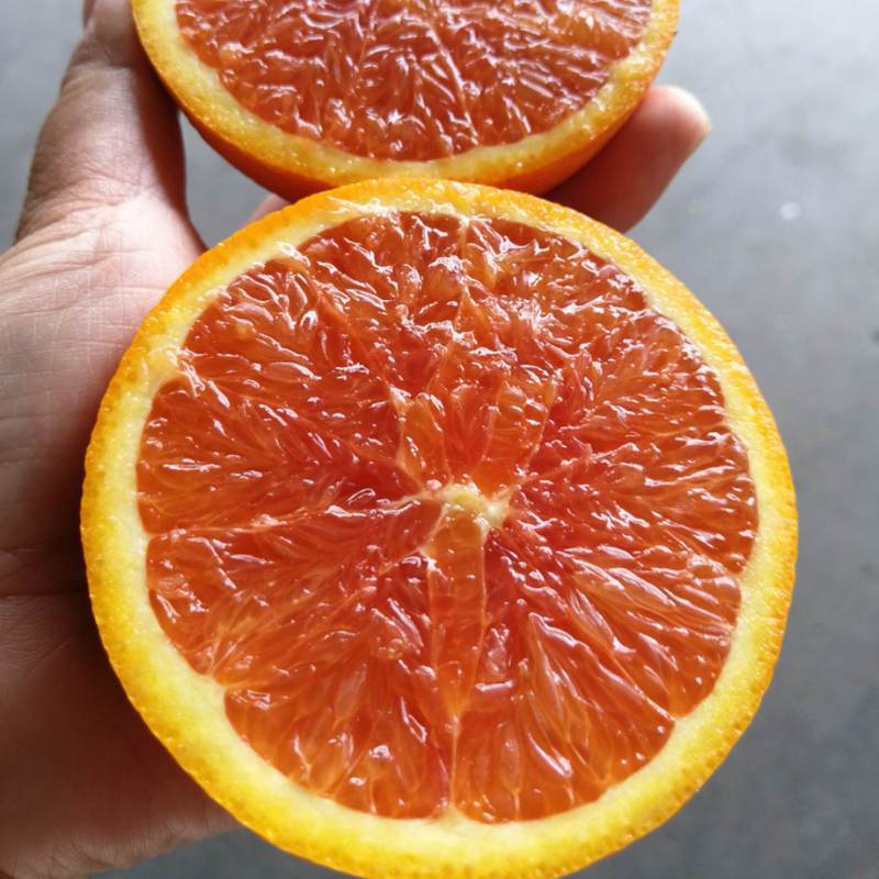 顺丰快递[西沛生鲜]南非进口血橙 3斤装 红心肉橙子 新鲜水果 新鲜孕妇 水果橙子 甜橙当季