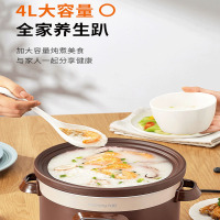 九阳(Joyoung)电炖锅DG40Z-GD410 家用4L大容量 8大炖煮功能 煲汤煮粥紫砂内胆全自动电炖锅