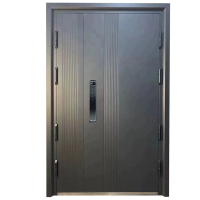 防盗门 甲级防盗门子母门定制非标门进户大门入户安全门-1