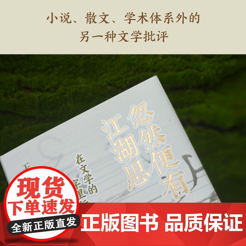 忽然便有江湖思:在文学的字里行间 鲁迅文学奖得主长江学者苏州大学教授王尧樶新文学评论集 吴义勤毕飞宇等名家小说散文高清大图