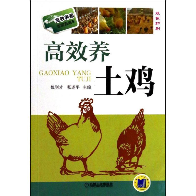 正版新书]高效养土鸡魏刚才//张遂平9787111440895高清大图