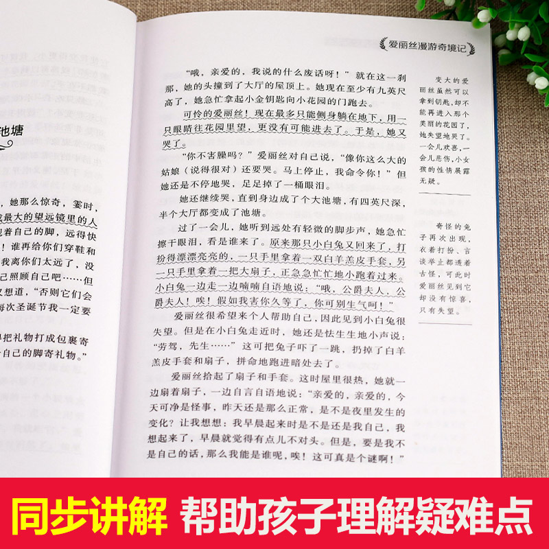 [正版]爱丽丝漫游奇境 六年级老师 爱丽丝漫游奇境记原著书下必读课外书 爱丽丝梦游仙境下册 课外阅读书籍高清大图