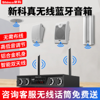 新科(Shinco) CC无线蓝牙音箱店铺专用吸顶音响套装壁挂低音炮家用吊顶喇叭3D环绕大音量商用客厅嵌入式背景音乐广播