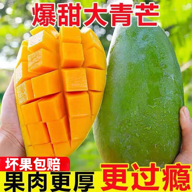 鲜木 越南大青芒 现摘甜心芒果 新鲜时令水果 孕妇水果 爆甜多汁 5斤装大果 单果300克以上 产地精选整箱