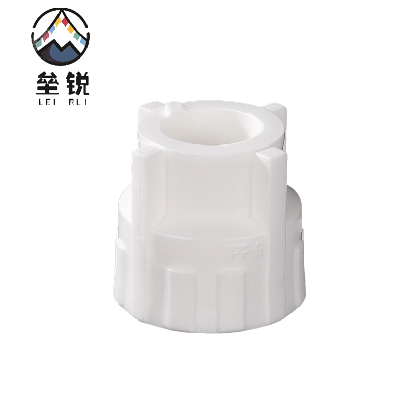 垒锐 PPR内牙直接 一寸 个高清大图