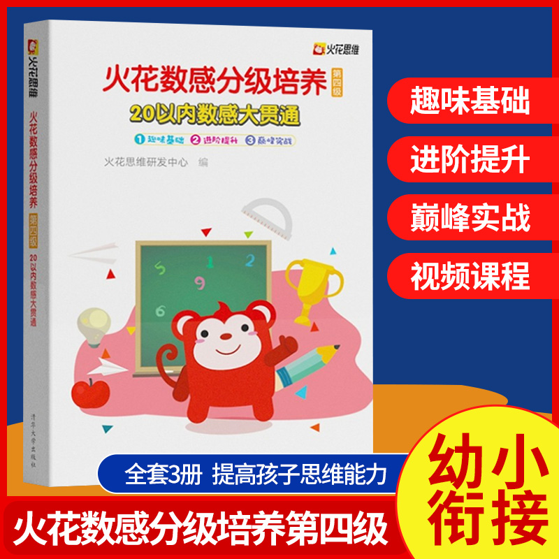 【正版图书】火花数感分级培养第四级20以内数感大贯通6-12岁儿童数学启蒙 幼小衔接整合教材 一年级入学准备幼儿园数学加