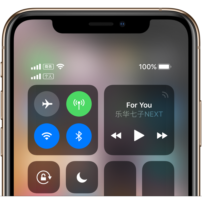Apple iPhone XS Max 512GB 深空灰 移动联通电信4G手机MT772CH/A
