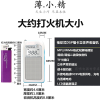 熊猫(PANDA)6203小型立体声充电插卡听戏收音机迷你便携老人袖珍随身听插卡音箱 白色