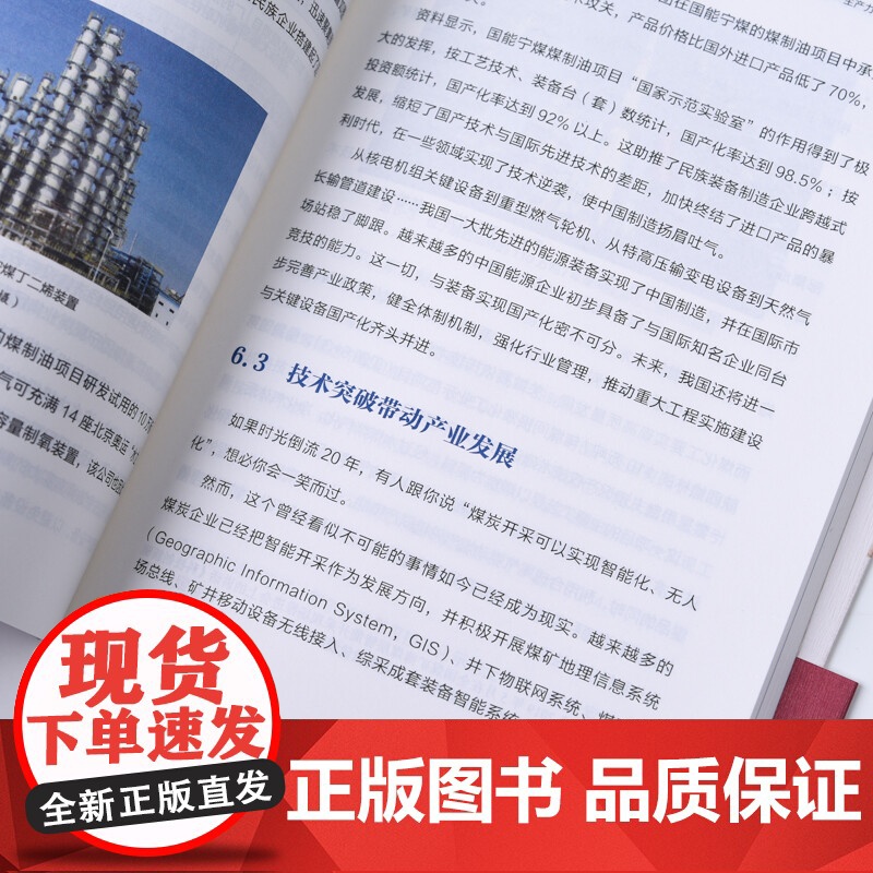 神州脉动 能源革命改变中国 胡森林等 著 经济高清大图
