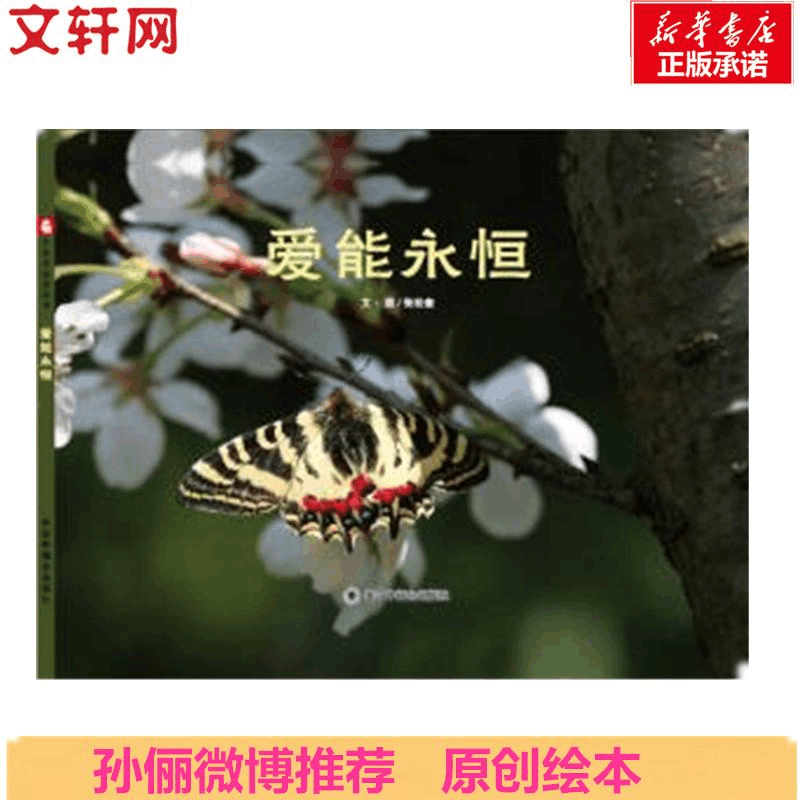 醉染图书爱能永恒9787507226430图片