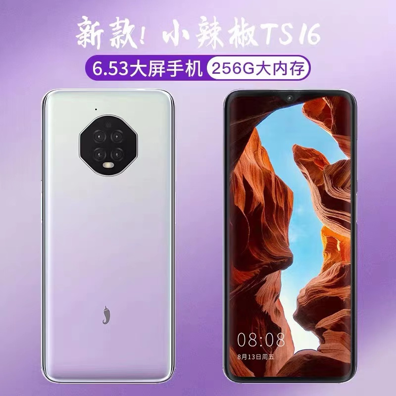 小辣椒TS16全网通4G 苍叶灰 4+128GB 学生价游戏智能手机大内存指纹解锁全面屏超长待机百元备用老人机