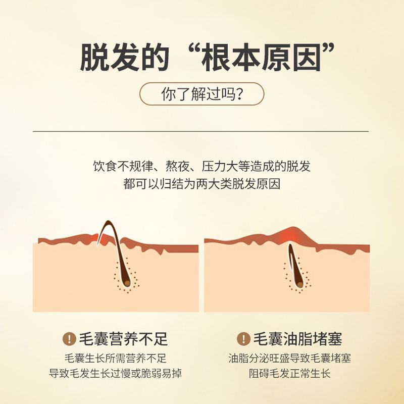博滴 琴叶生姜防脱发强根保养洗发水 300ml/瓶 一盒装