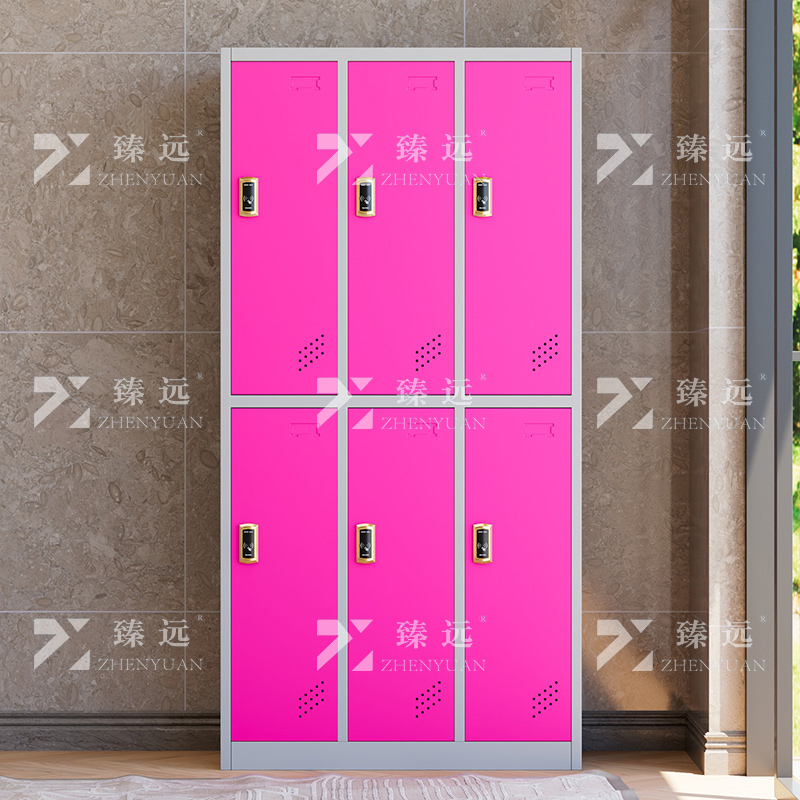 臻远 ZY-GYGC-99 彩色员工更衣柜感应锁存包柜浴室换衣柜健身房多门储物柜 六门白框红门