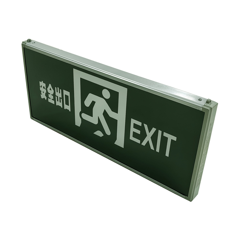 光大 M-BLZD-1LROEI5WCBD AC220V 5W 300mAh IP30 消防应急标志灯具(计价单位:套)高清大图