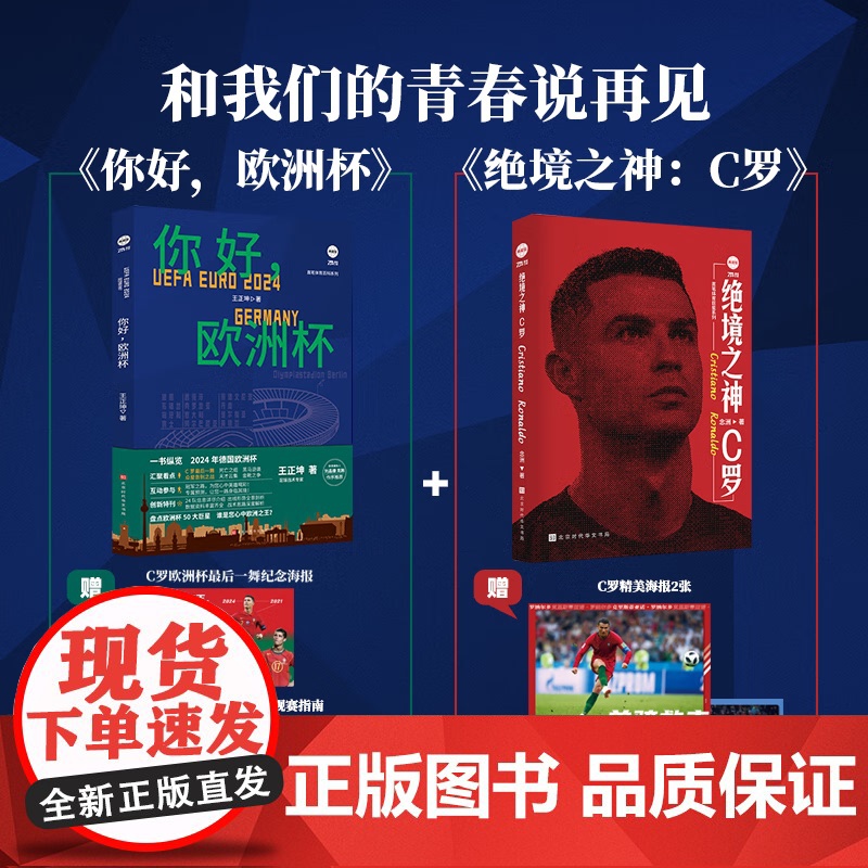 [赠海报]你好 欧洲杯 王正坤著 创新型预测性欧洲杯前瞻 欧洲杯赛程表对阵表 极强参与感的欧洲杯图书 2024欧洲杯海报高清大图
