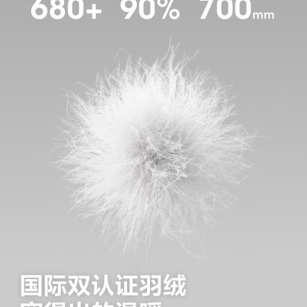 波司登(BOSIDENG)女士轻薄羽绒服短款立领排骨条百搭外套B260135006 秘釉色 尺码175高清大图
