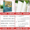 [全2册]历史的遗憾+历史不忍细 [正版]历史的遗憾中华国学经典精粹鉴往知来读史明智不可不知的历史片段一本书读懂中国史初