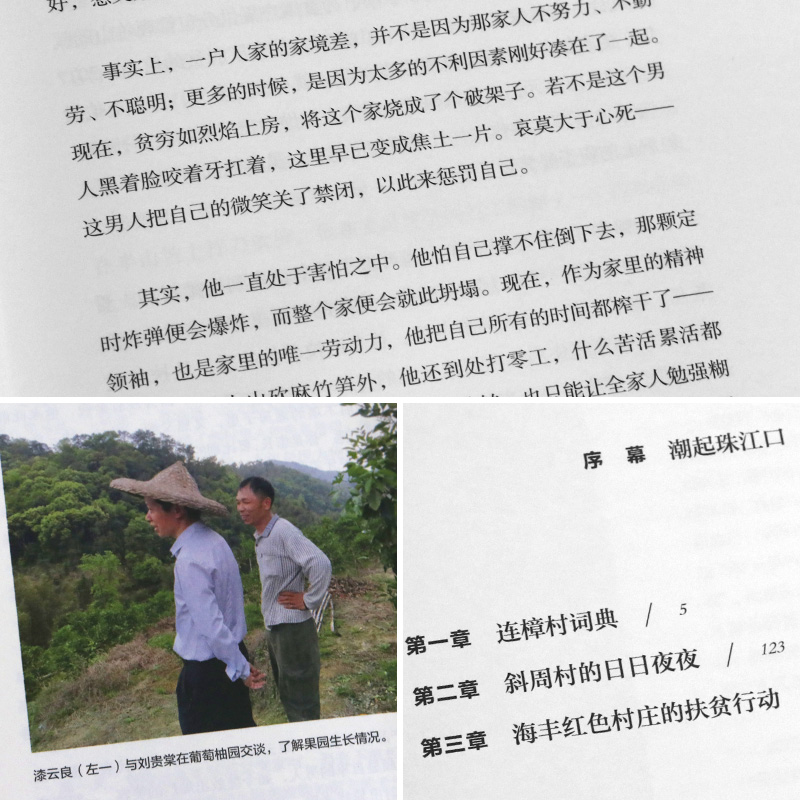 [正版]岭南万户皆春色 广东精准扶贫纪实 丁燕 广东人民出版社农业扶贫水利扶贫纪实文学文化书籍书高清大图