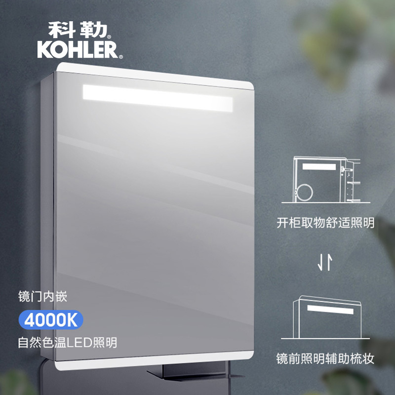 科勒浴室镜柜亲悦带灯梳洗化妆浴室壁挂式防雾镜柜K-30011T高清大图