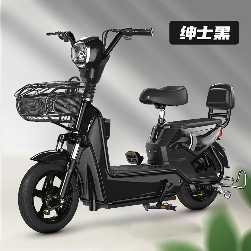智美环球 电动车成人电瓶车两轮电动自行车 长跑王-配20.2A石墨烯120公里-绅士黑
