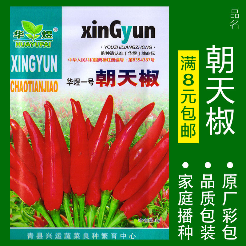 蔬菜种子四季播盆栽番茄黄瓜辣椒西瓜籽孑大全罗卜蕃茄苏州青黄心 原种朝天椒约300粒 均码