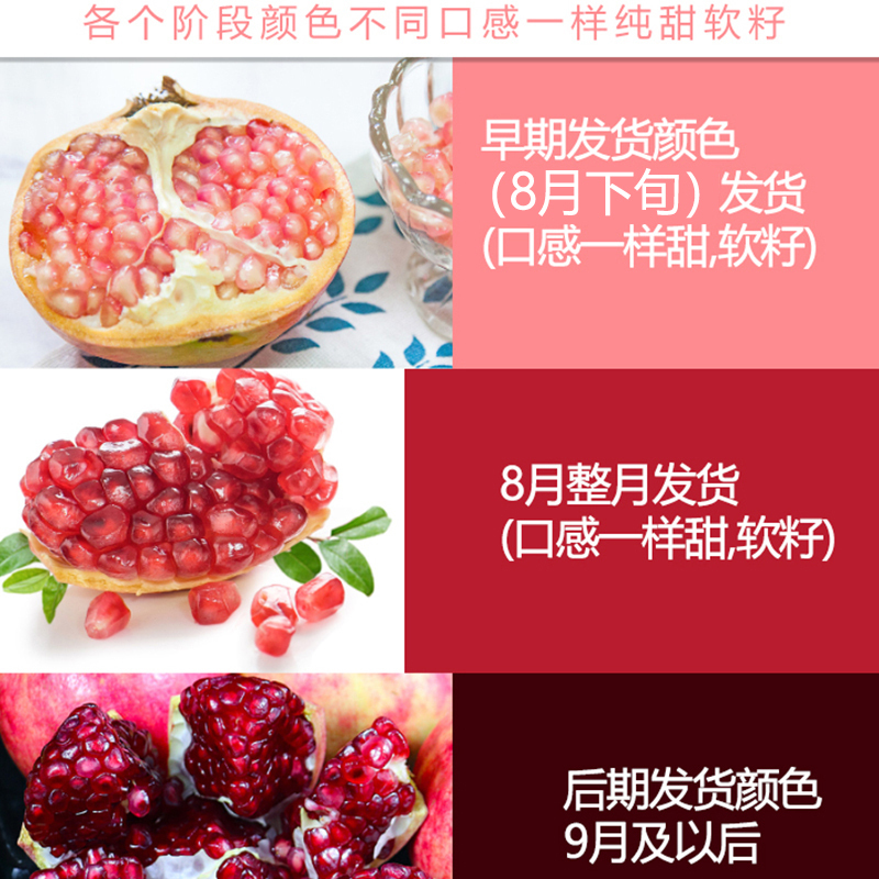 [西沛生鲜]会理突尼斯软籽石榴 净重5斤 大果 单果350g+ 新鲜孕妇水果 坏果包赔高清大图