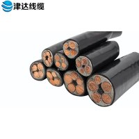 津达线缆YJV交联聚氯乙烯绝缘电力电缆2*2.5(单位:米)