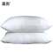 是尚 枕头 定制枕芯48*78cm/个