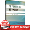 正版 常见皮肤病诊疗图谱 辽宁科学技术出版社 9787559131939
