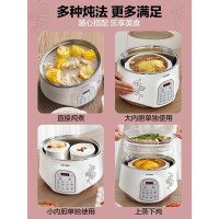 天际电炖炖锅不锈钢隔水炖锅陶瓷内胆一锅三胆2-3L/2.5升煲汤煮粥锅燕窝炖盅家用全自动预约多功能养生大容量3-5人电用