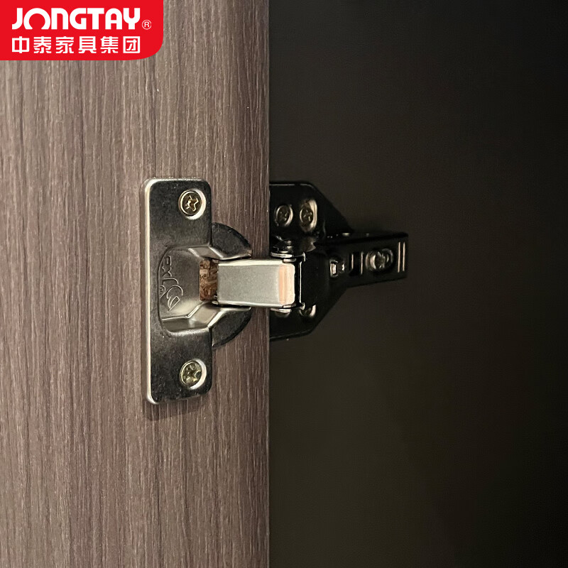 中泰(jongtay)文件柜木质柜子小矮柜档案柜财务凭证柜储物柜资料柜办公柜子 J-FBZX081高清大图