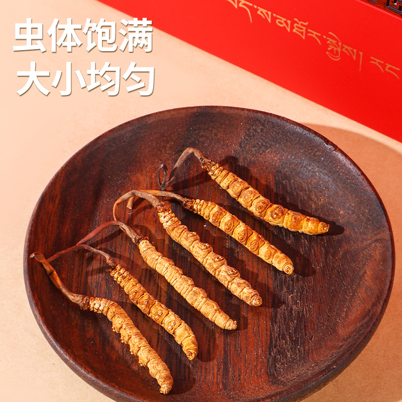 冬虫夏草官方旗舰店2克/6根头期正品干货虫草整条2克礼盒装高清大图