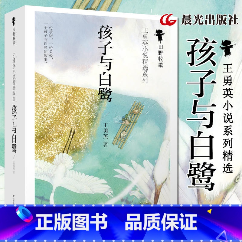 [正版]孩子与白鹭 王勇英 晨光出版社 青少年版小学三年级阅读四五六年级课外书彩色插图版风信子纯美儿童文学小说系列高清大图