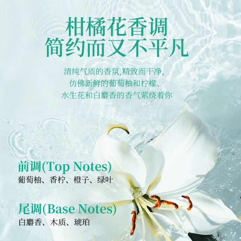 花王(KAO)洗护安心|水月系列旅行洗沐润套装礼盒 安心系列300ml洗护沐手拎礼盒高清大图
