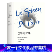 【友一个】巴黎的忧郁 波德莱尔 胡小跃翻译 文学 散文诗集 象征派 现代派 关于巴黎 街头 情欲 不满 毁灭 果现