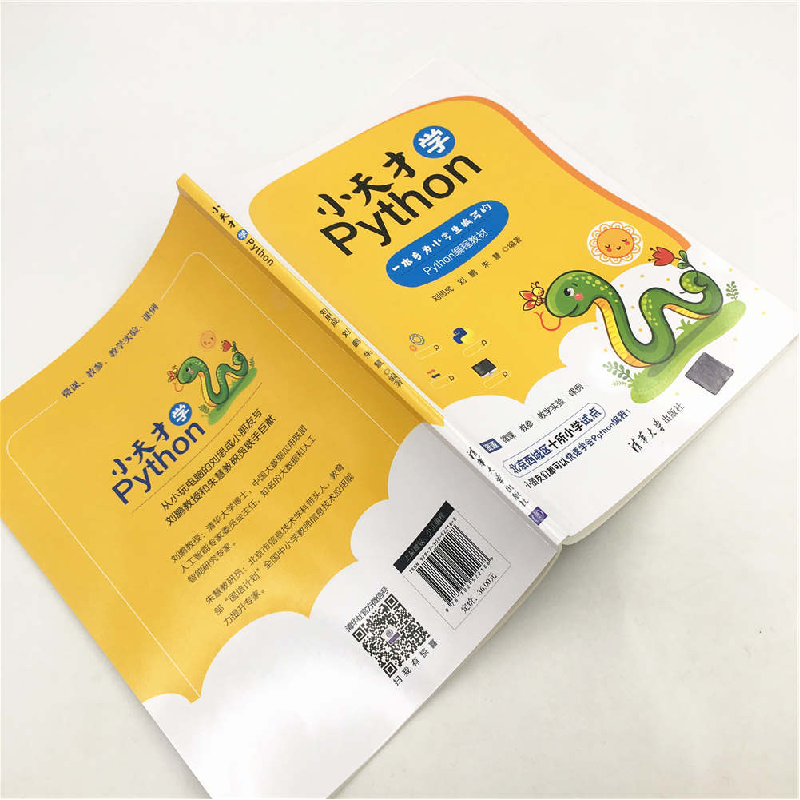 正版新书]小天才学Python刘思成、刘鹏、朱慧9787302522188高清大图