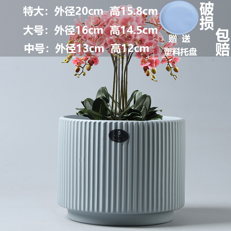 中号 花盆陶瓷特价清仓中号带托盘创意白色绿萝欧式简约超大桌面 雅典相思灰送塑料托盘