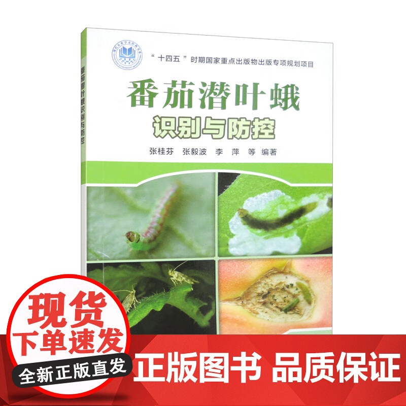 番茄潜叶蛾识别与防控 张桂芬 张毅波 李萍主编 中国农业科学技术出版社9787511665188高清大图
