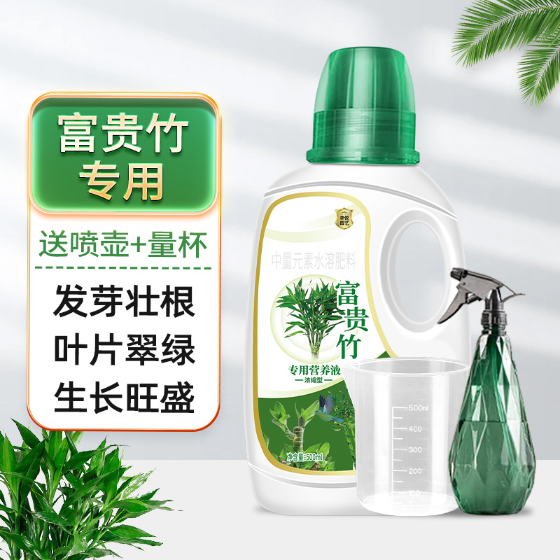 富贵竹专用营养液治叶子发黄转运竹节节高文昌竹水竹水培植物生根 富贵竹专用营养液500ml1瓶(送喷壶+量杯