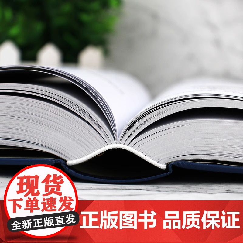 正版 老向讲工控 PLC编程手册 PLC编程大全 西门子PLC编程 三菱PLC编程 欧姆龙PLC编程 PLC编程及应用工高清大图