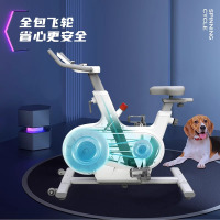 舒华舒华动感单车家用智能室内运动自行车小型磁控低音减肥健身车玉兔霜花白