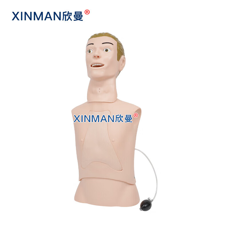 欣曼科教 高级鼻胃管与气管护理模型 鼻饲模型 鼻胃插管模拟人XM-BWG高清大图
