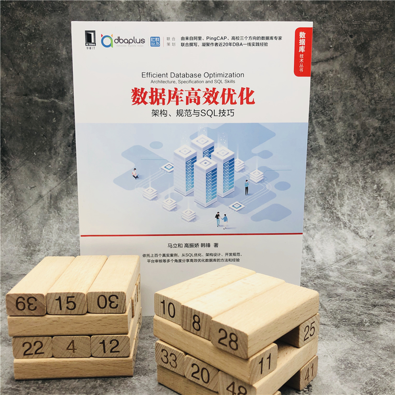 音像数据库高效优化(架构规范与SL技巧)/数据库技术丛书马立和