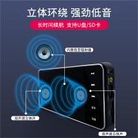 熊猫（PANDA) DS-130播放器老人fm收音机便携式插卡儿童音乐音响外放可充电插卡U盘播放机唱戏立体声 黑色