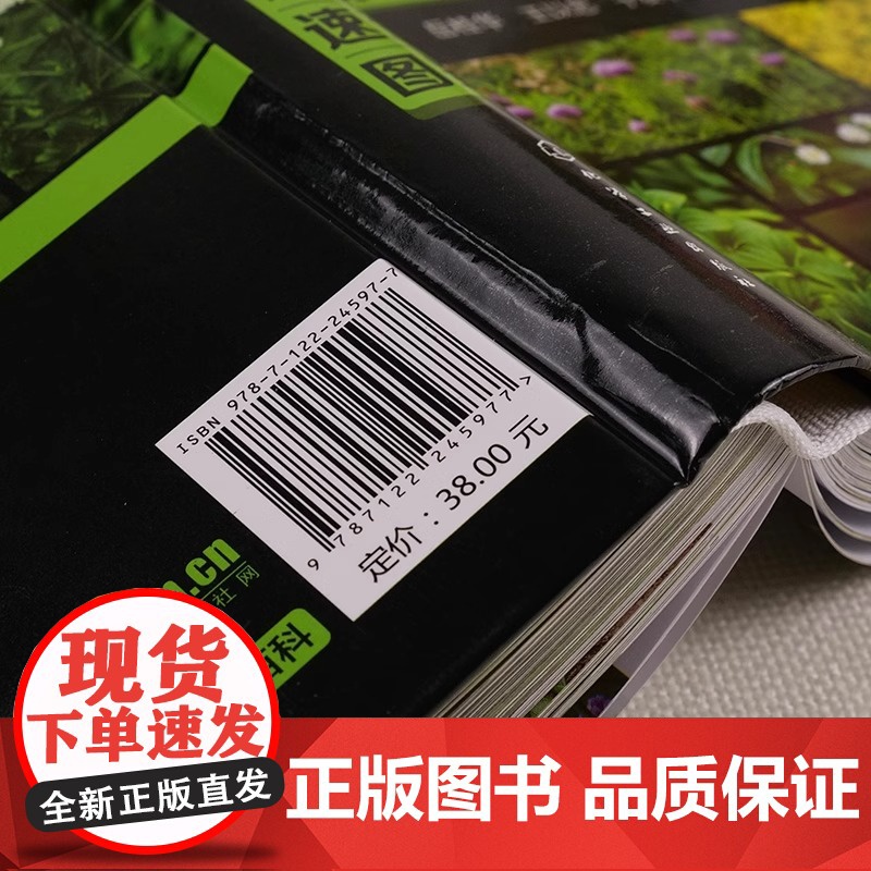 500种野菜野外识别速查图鉴 野菜识别特征实用方法 中医草药材识别图大全 生活常识中草药有毒植物识别图集 自然科学植物学高清大图